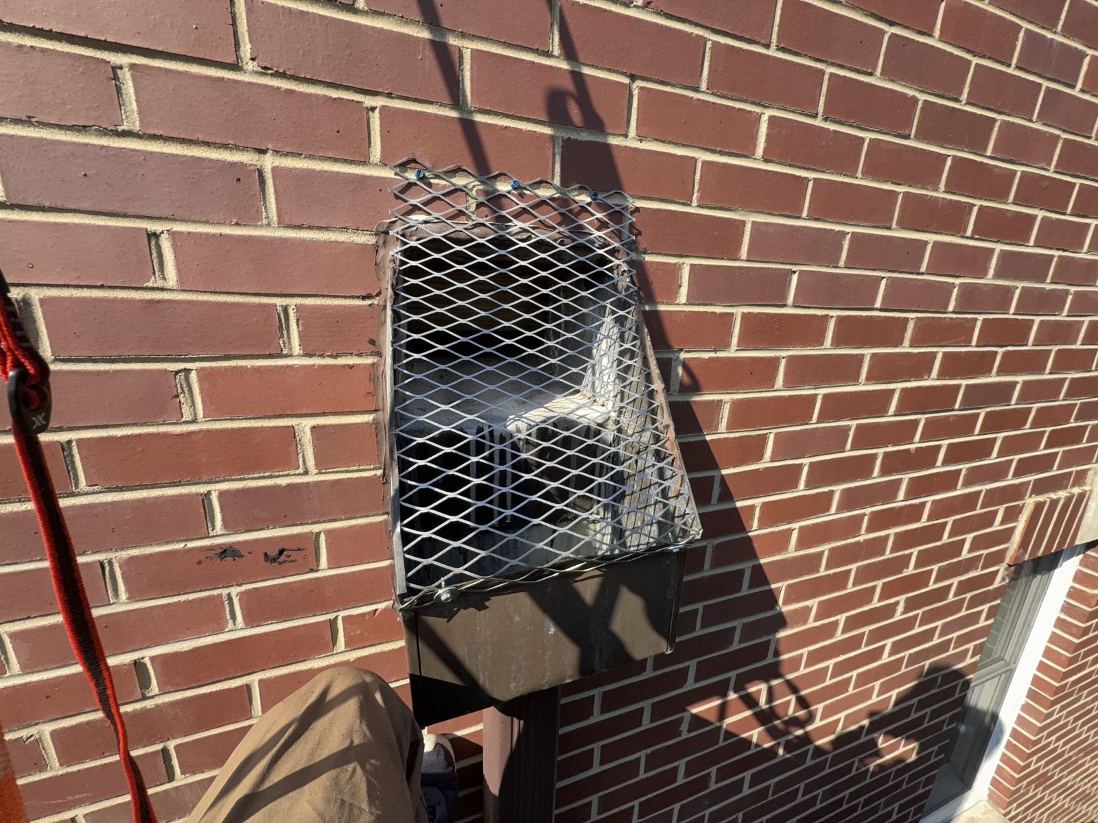Stainless steel mesh cover installed over a downspout conductor head to stop pigeon nesting, Old Town, Chicago